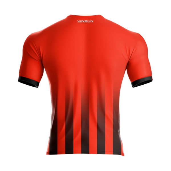 Back View
